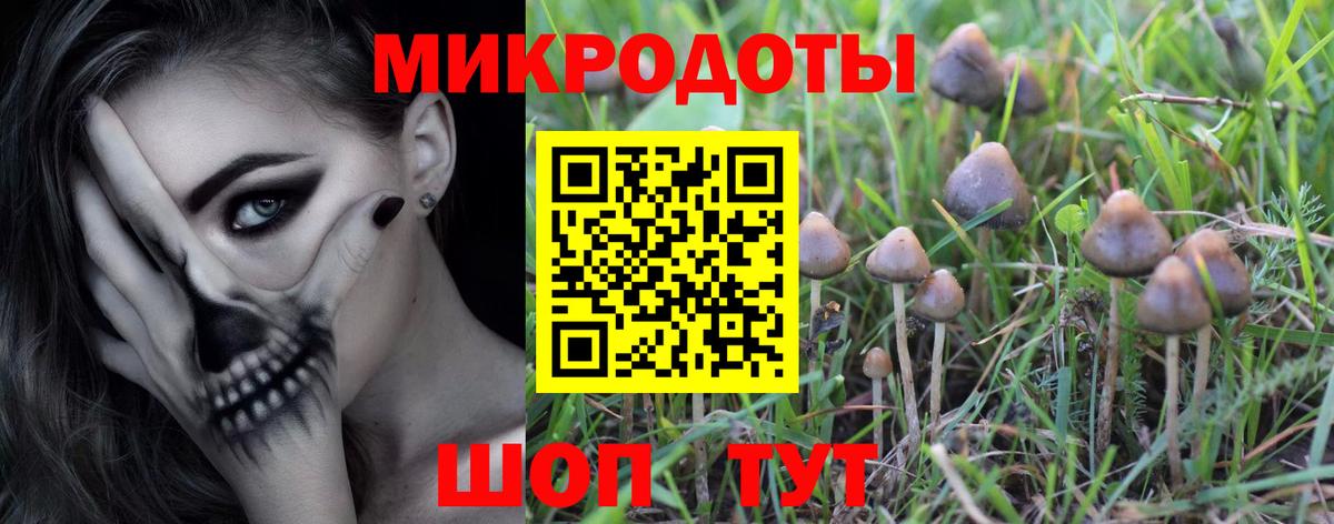 цена наркотик  Вход с VPN  Ишим  Псилоцибиновые грибы Psilocybe  Галлюциногенные грибы Psilocybe 